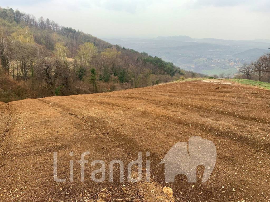 immagine annuncio 7 di 8