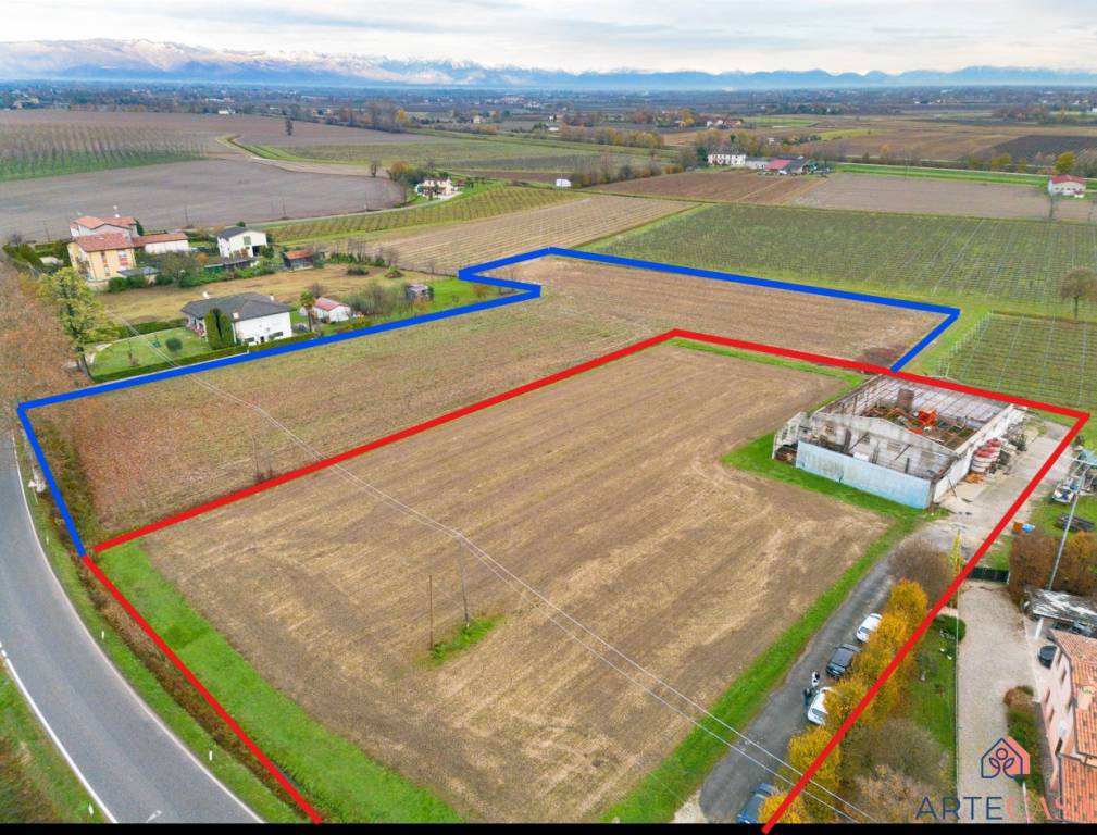 immagine annuncio 2 di 6