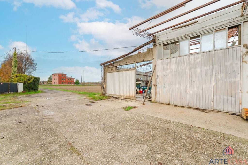 immagine annuncio 4 di 6