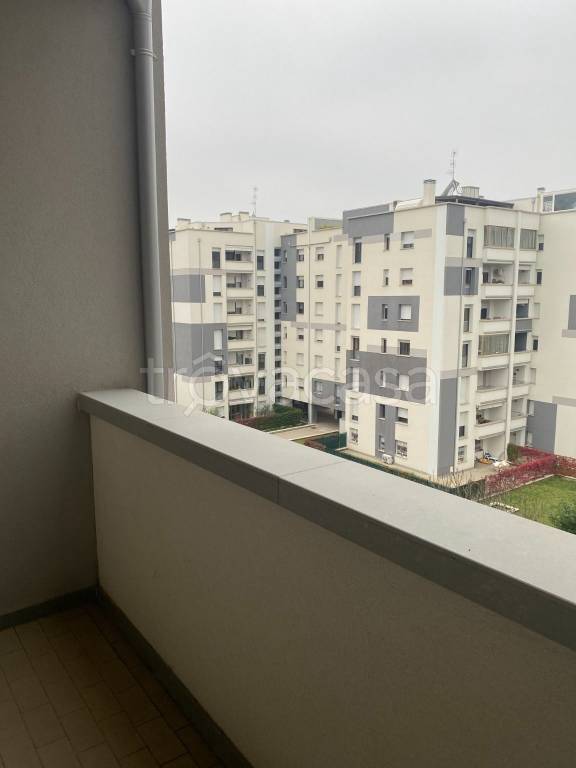 immagine annuncio 2 di 8