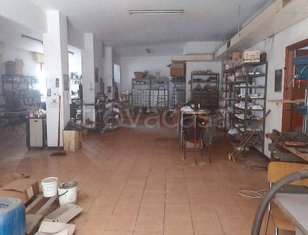 immagine annuncio 3 di 11