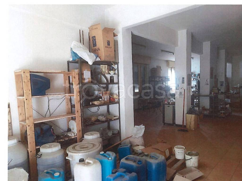 immagine annuncio 5 di 11