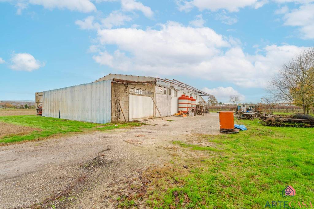 immagine annuncio 5 di 6