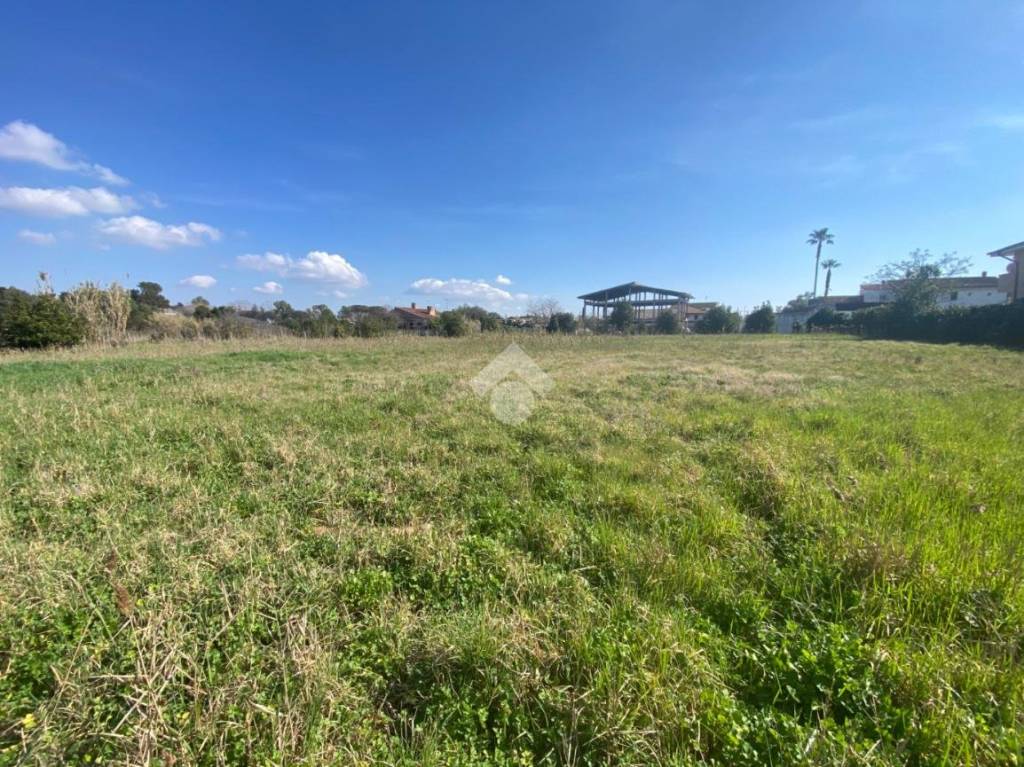 immagine annuncio 5 di 9