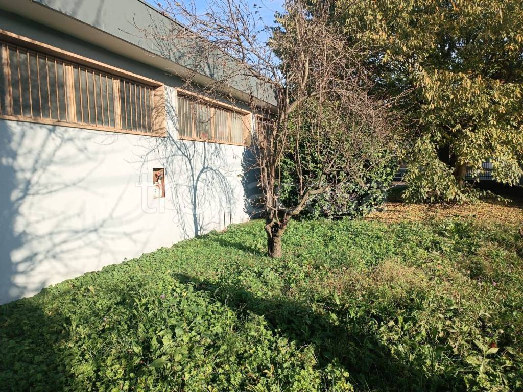 immagine annuncio 8 di 9