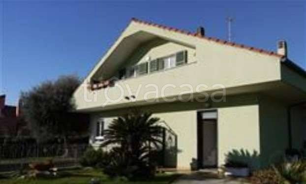 immagine annuncio 3 di 7