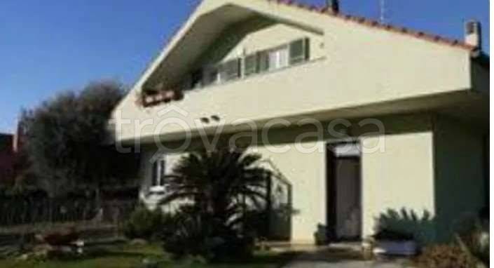 immagine annuncio 6 di 7