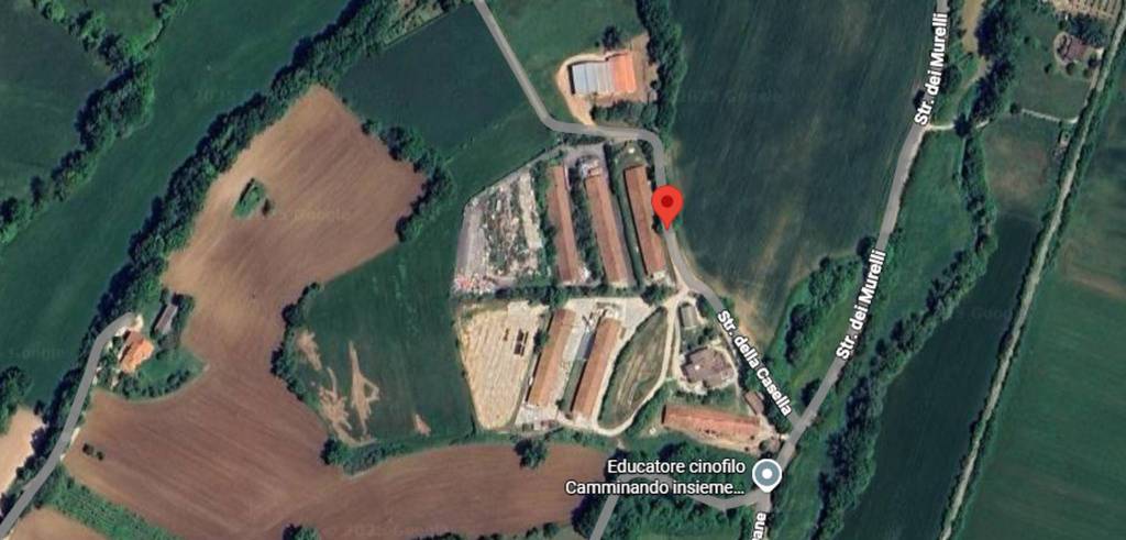 immagine annuncio 7 di 11