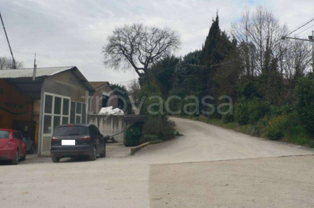 immagine annuncio 3 di 11