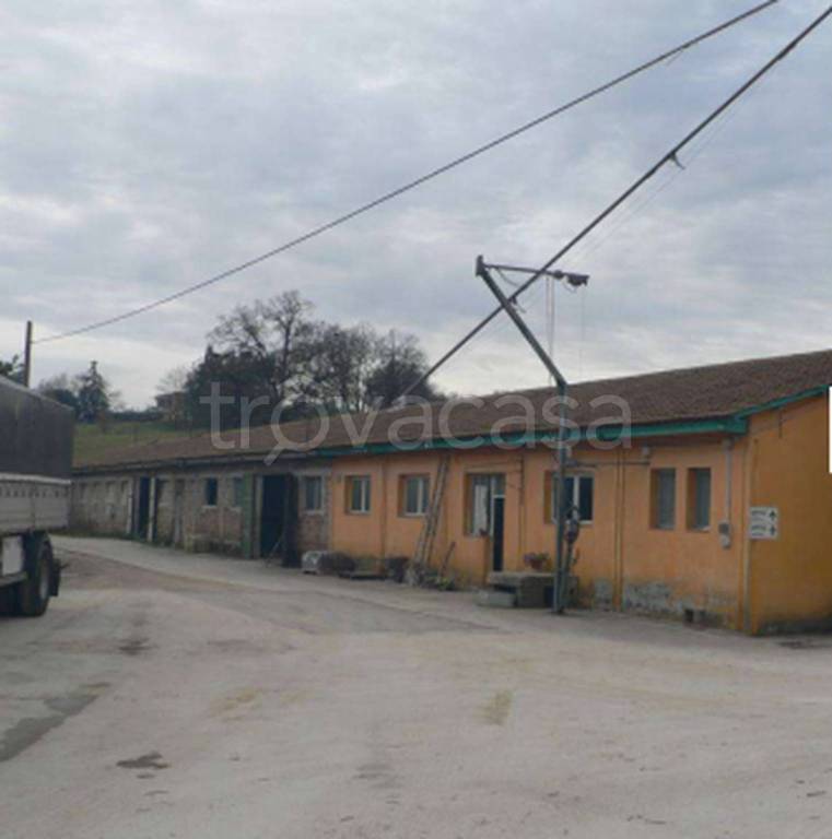 immagine annuncio 4 di 11