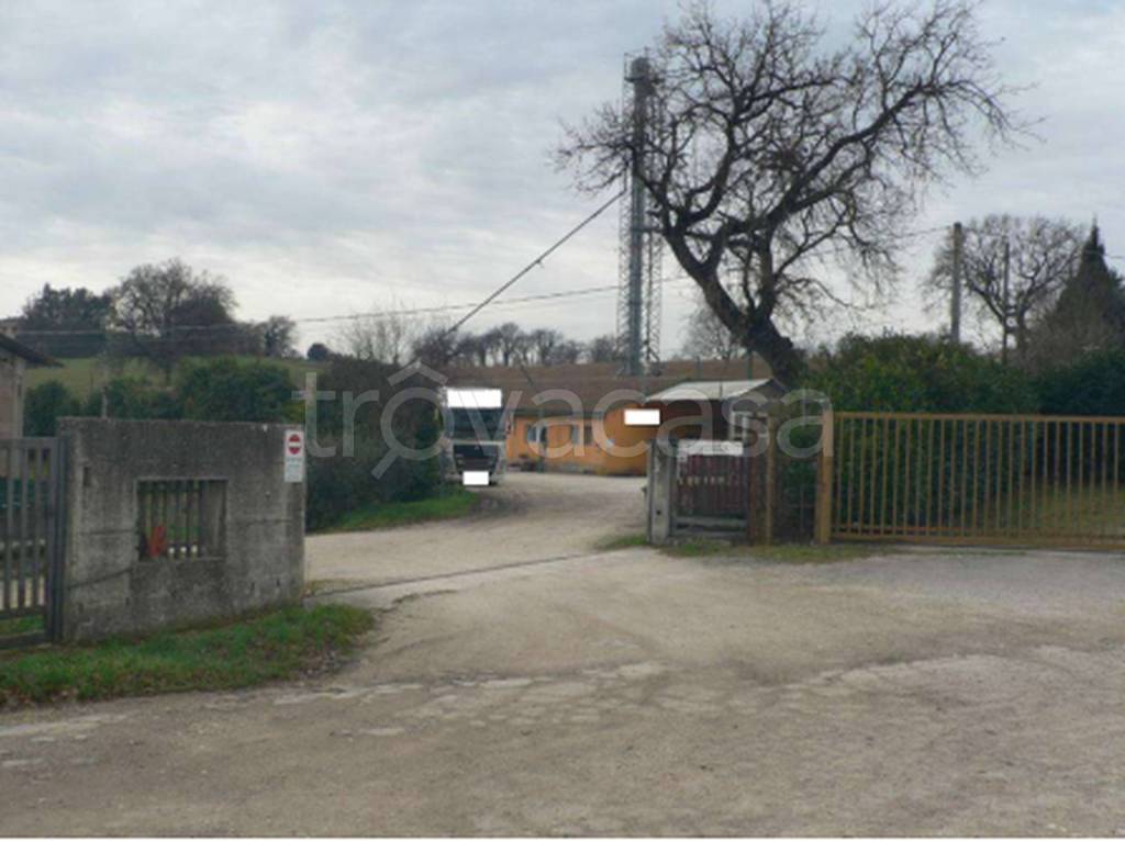 immagine annuncio 9 di 11