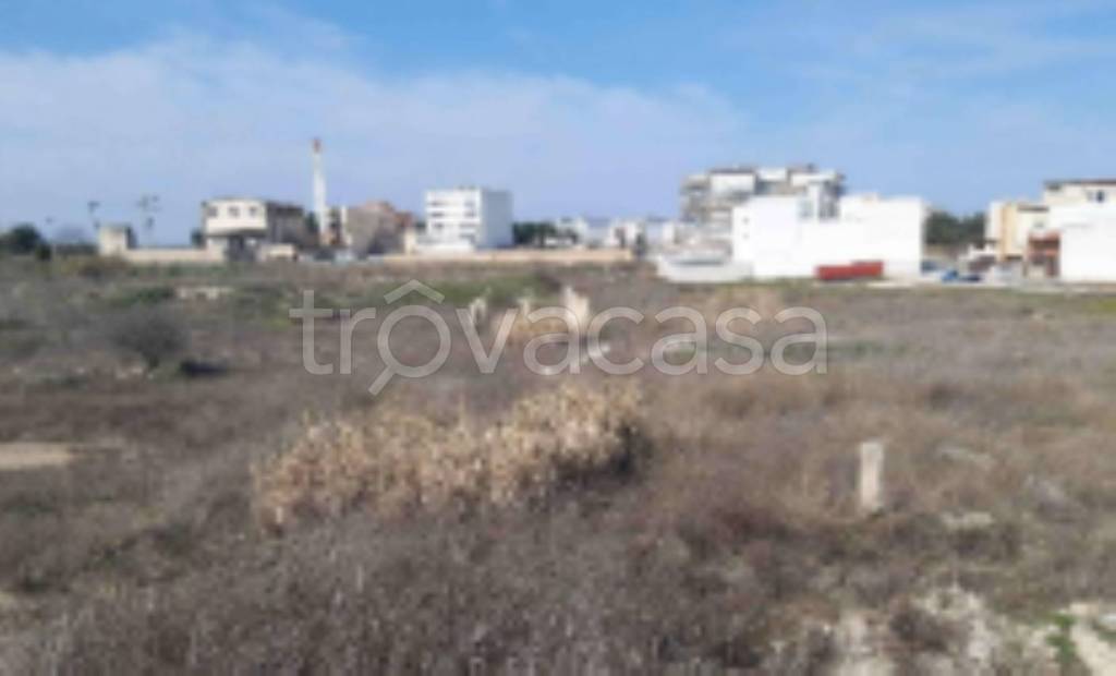 immagine annuncio 2 di 12