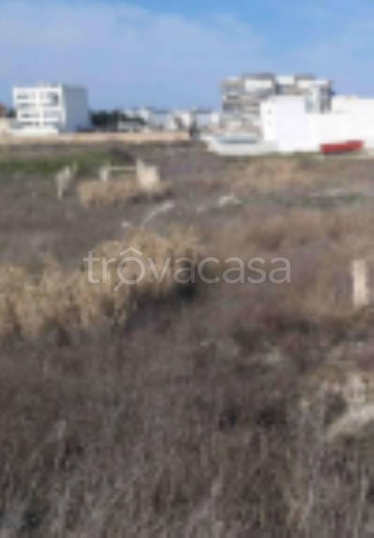 immagine annuncio 4 di 12