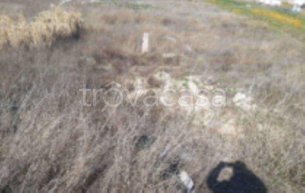 immagine annuncio 9 di 12