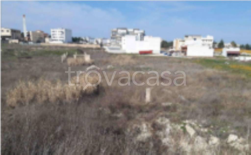 immagine annuncio 11 di 12