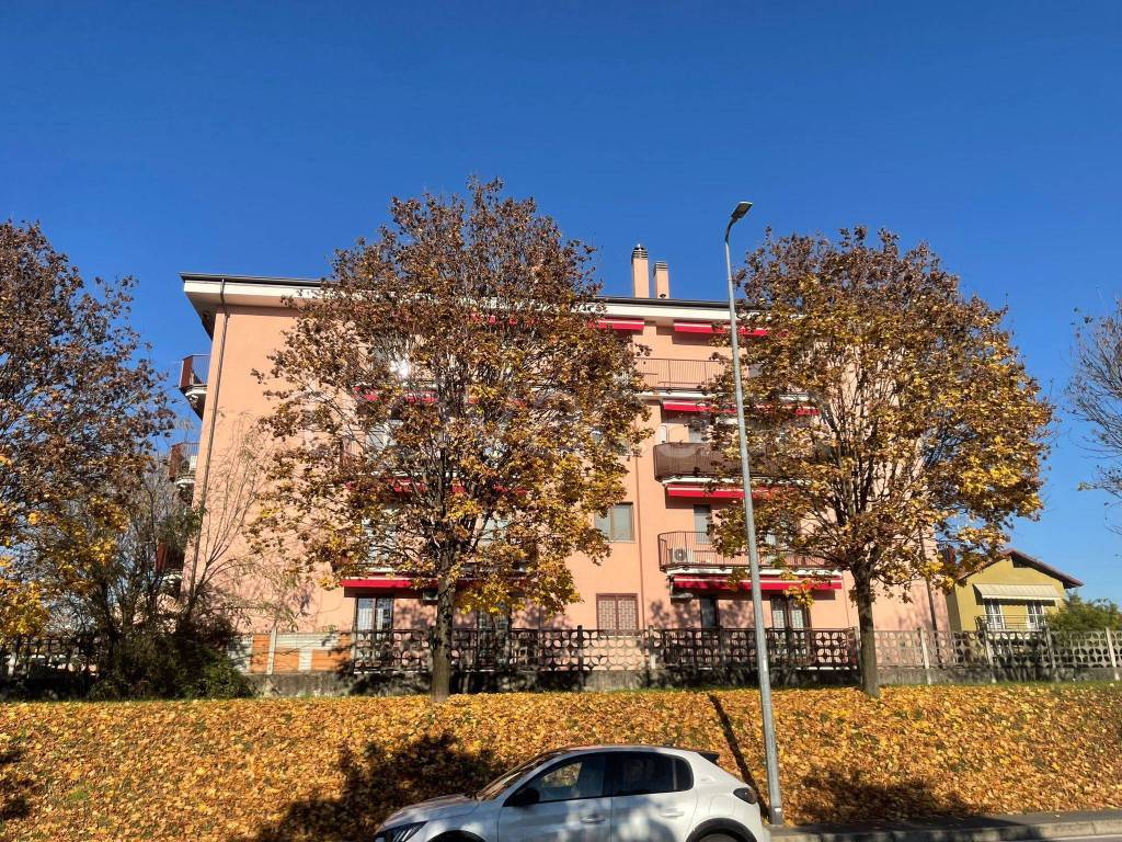 immagine annuncio 3 di 15