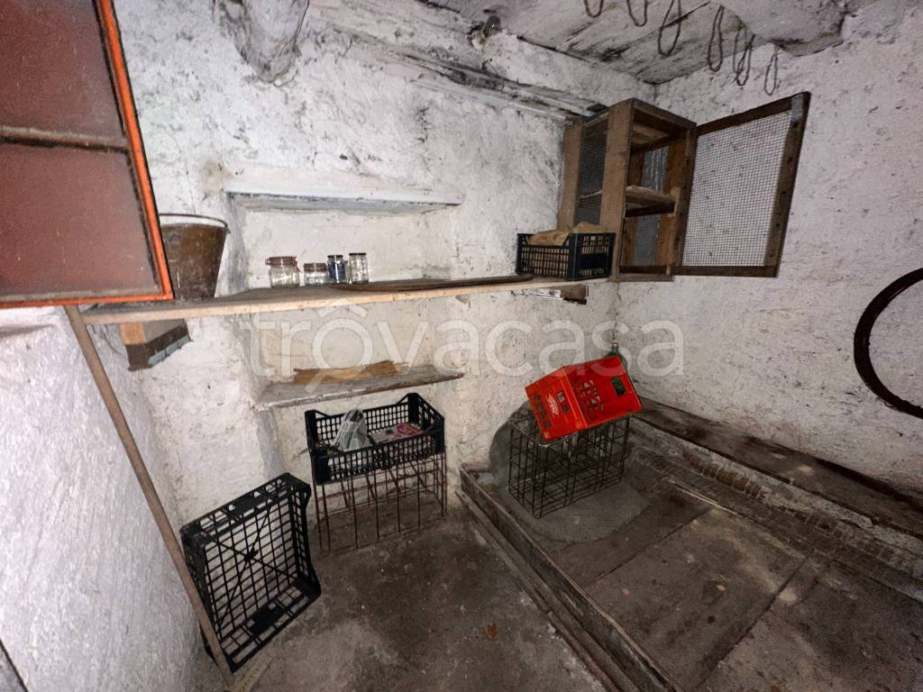 immagine annuncio 7 di 13