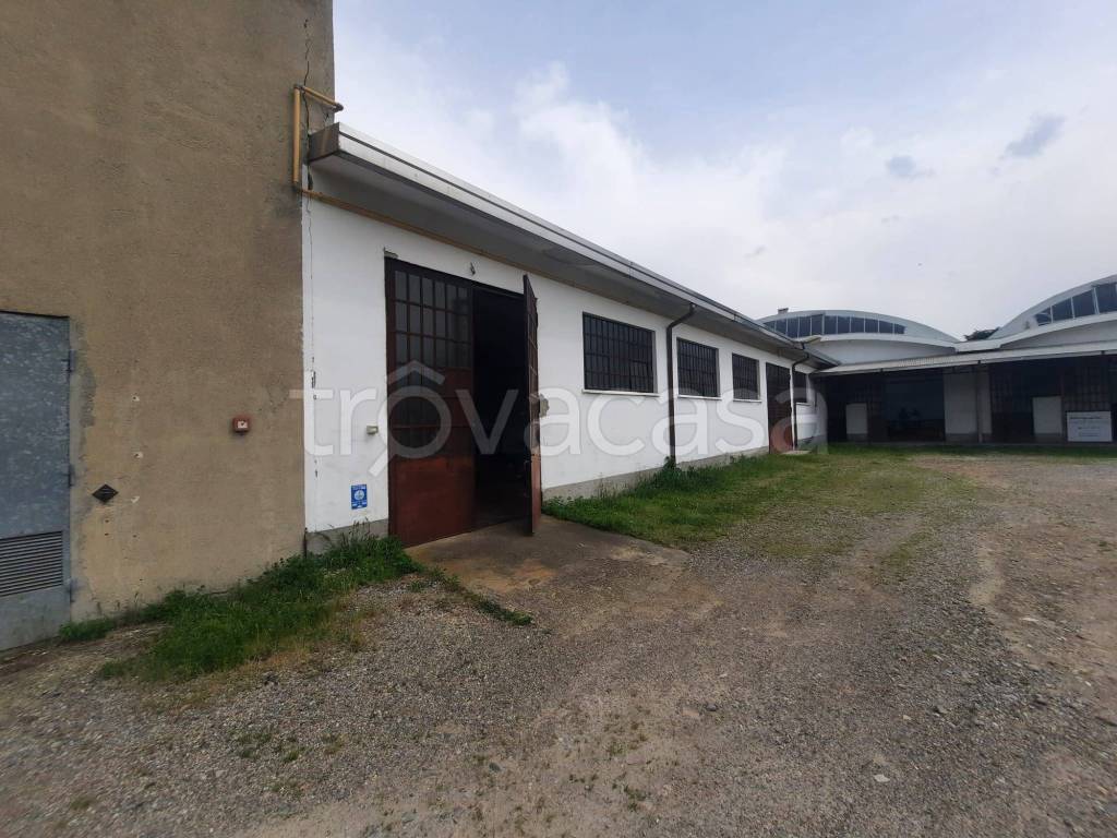 immagine annuncio 4 di 8