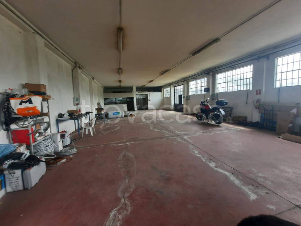 immagine annuncio 5 di 8