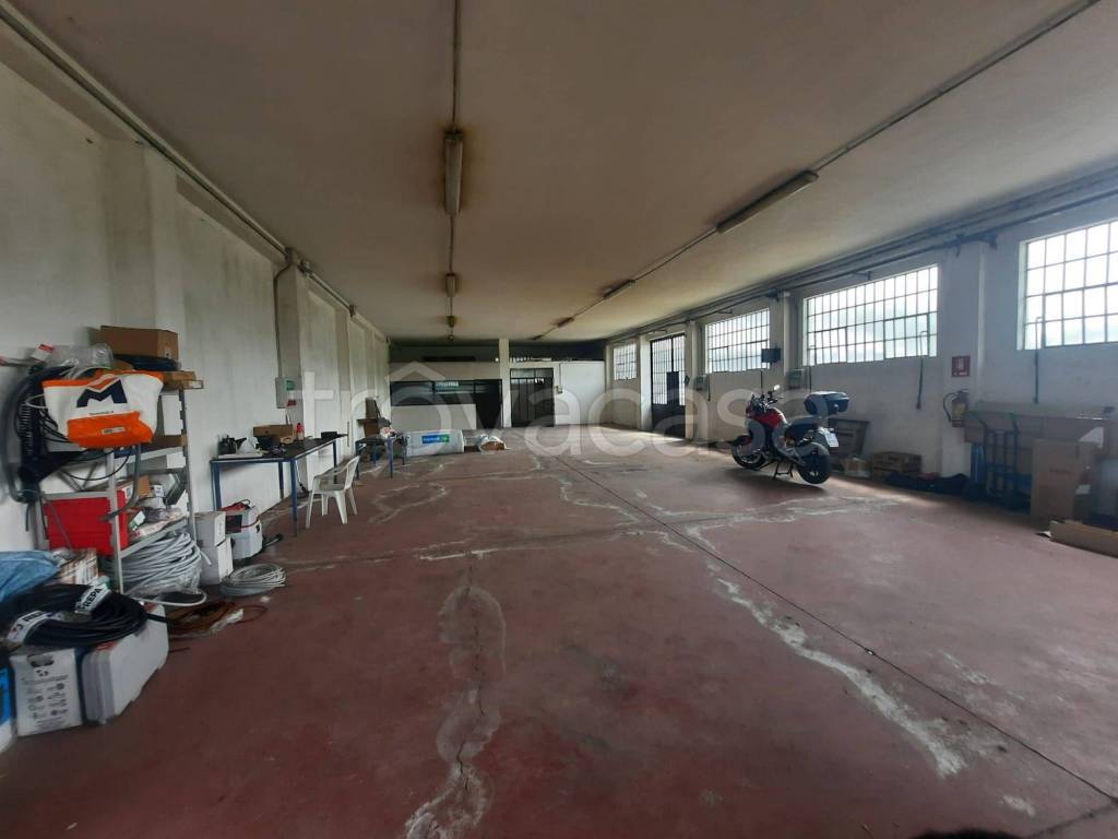 immagine annuncio 6 di 8