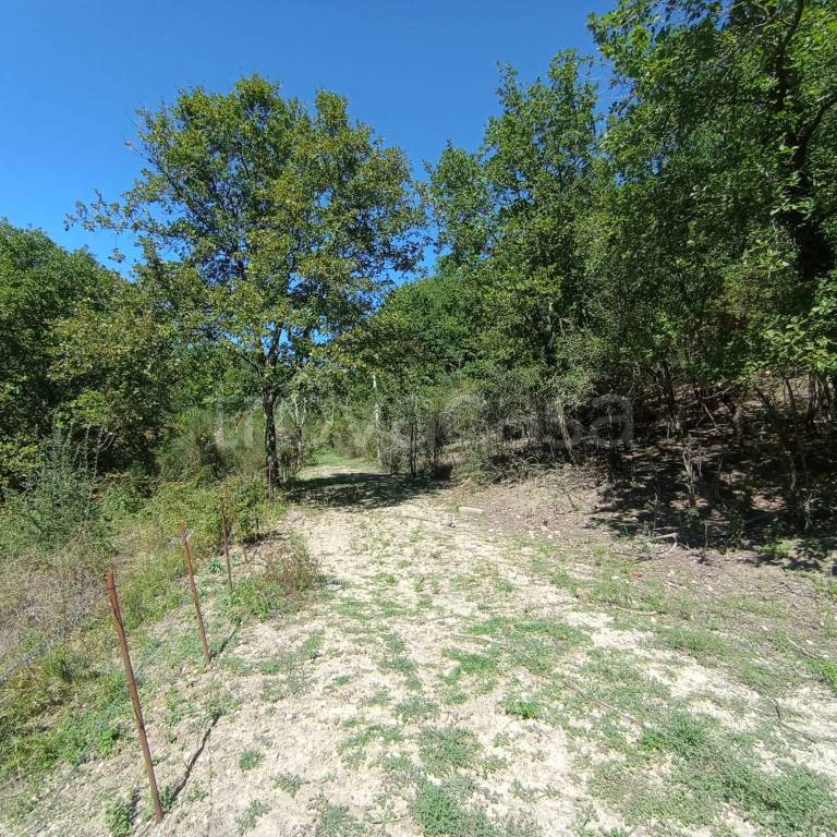 immagine annuncio 3 di 7