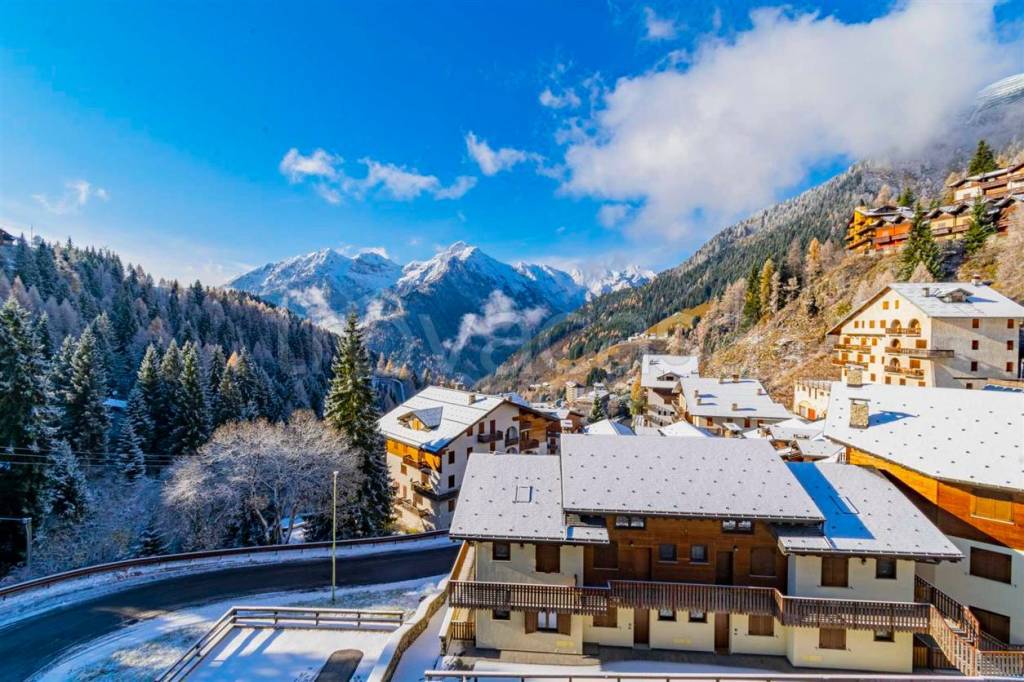 immagine annuncio 12 di 13