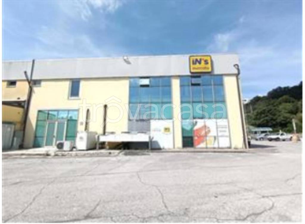 immagine annuncio 4 di 11