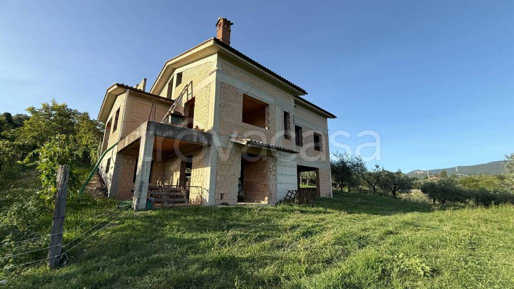 immagine annuncio 11 di 13