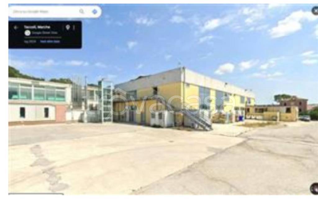 immagine annuncio 5 di 11