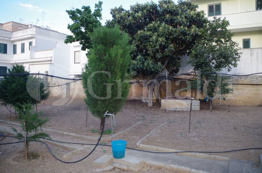 immagine annuncio 6 di 12