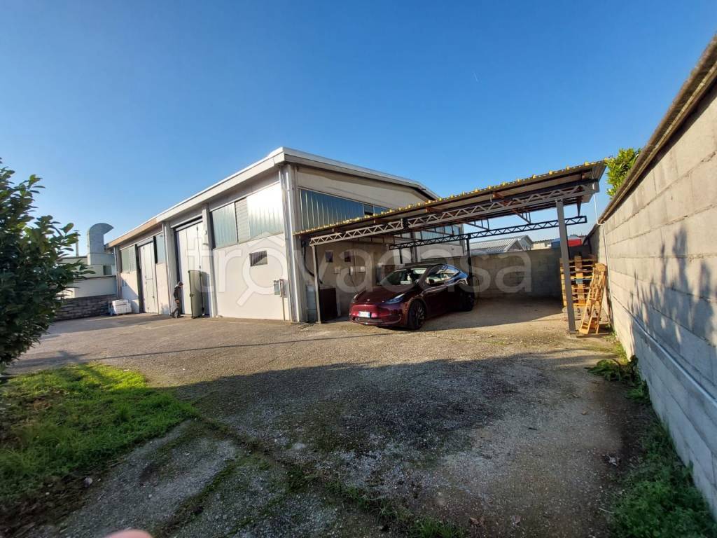 immagine annuncio 3 di 15