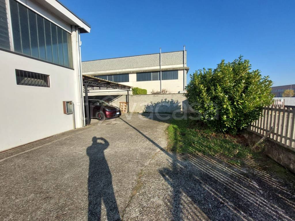 immagine annuncio 4 di 15