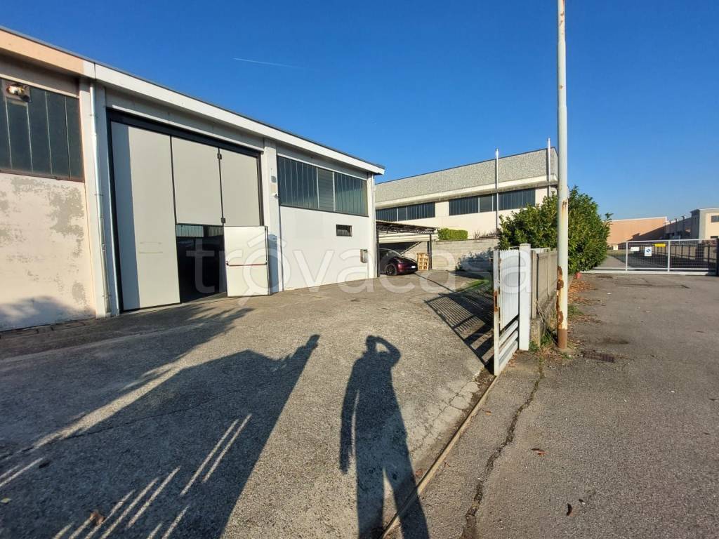 immagine annuncio 5 di 15