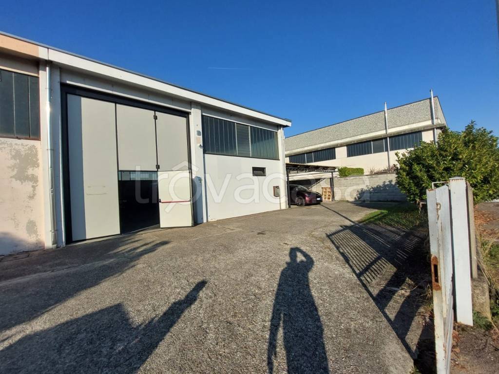 immagine annuncio 6 di 15