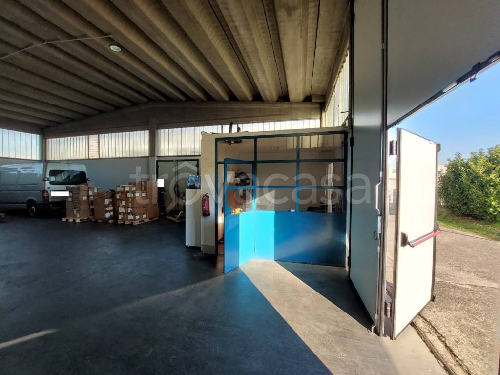 immagine annuncio 8 di 15