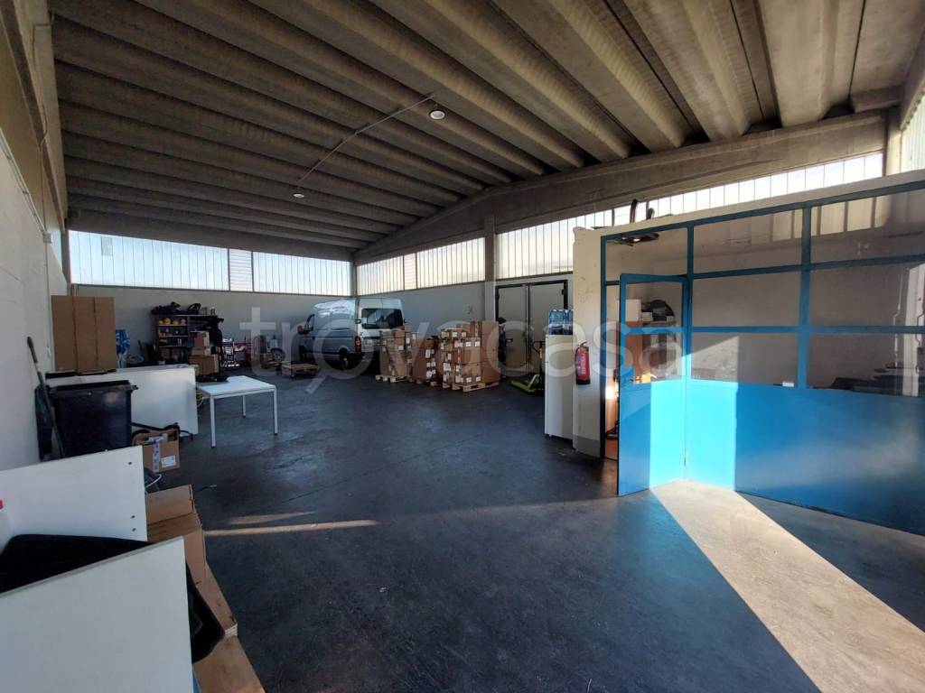 immagine annuncio 9 di 15