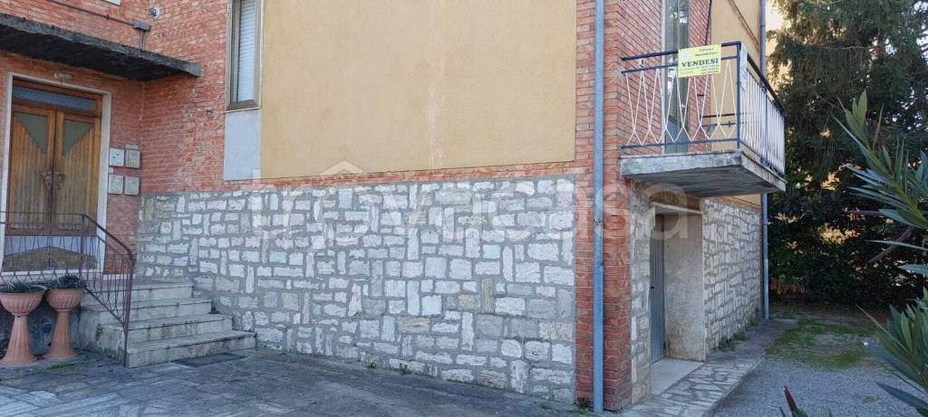 immagine annuncio 10 di 14