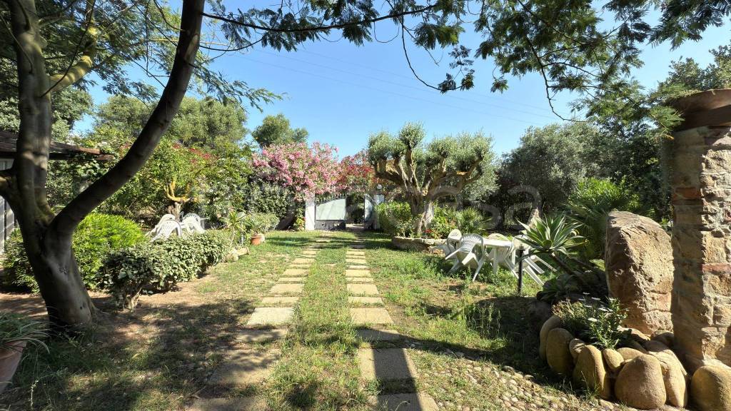 immagine annuncio 7 di 14