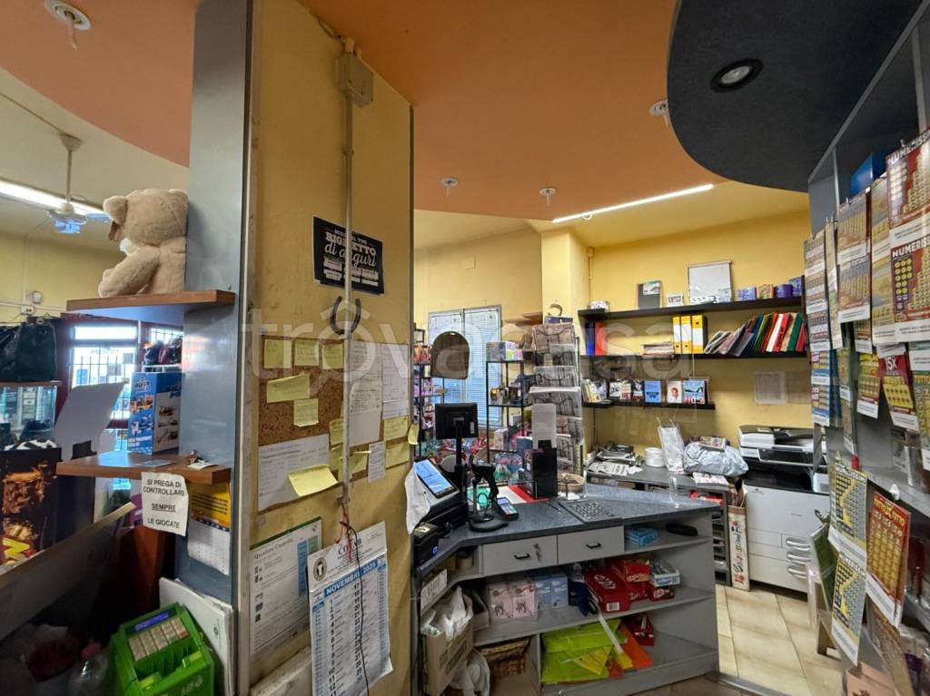 immagine annuncio 3 di 14