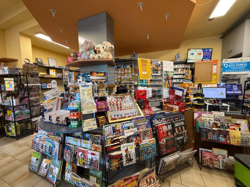 immagine annuncio 8 di 14