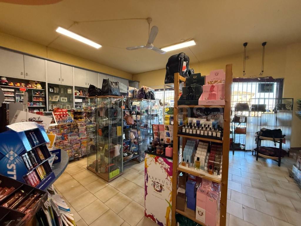 immagine annuncio 9 di 14