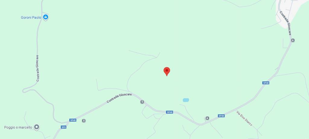 immagine annuncio 9 di 13