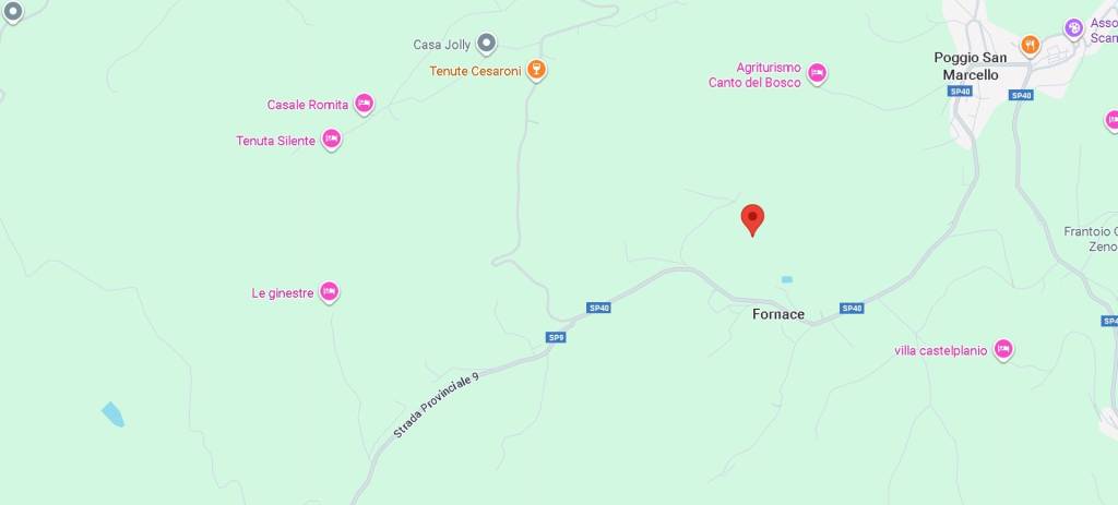 immagine annuncio 10 di 13