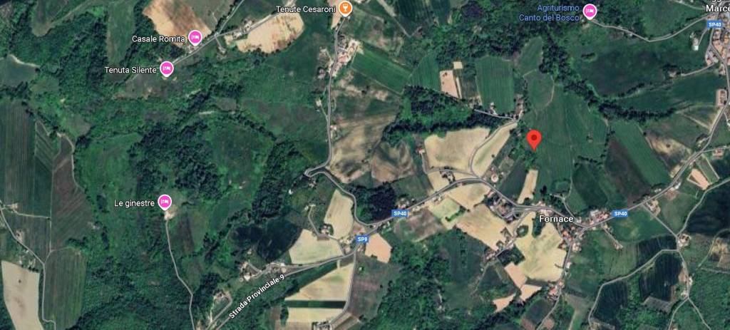 immagine annuncio 11 di 13