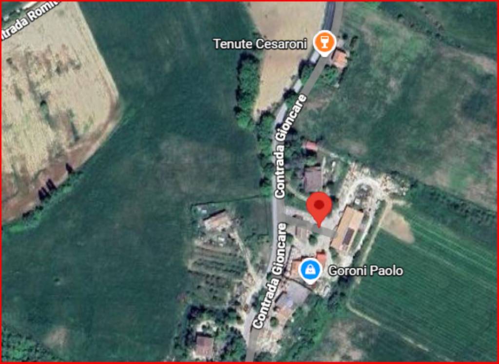 immagine annuncio 11 di 12