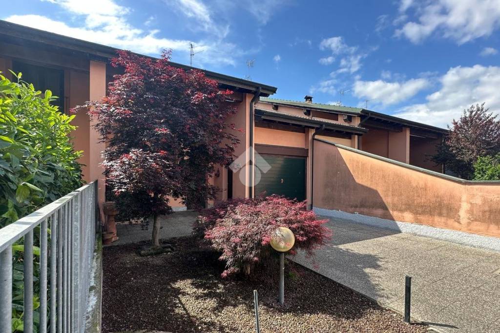 immagine annuncio 4 di 15