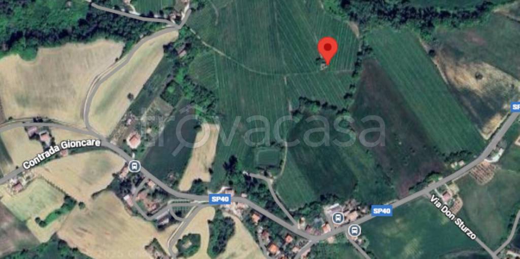 immagine annuncio 5 di 12