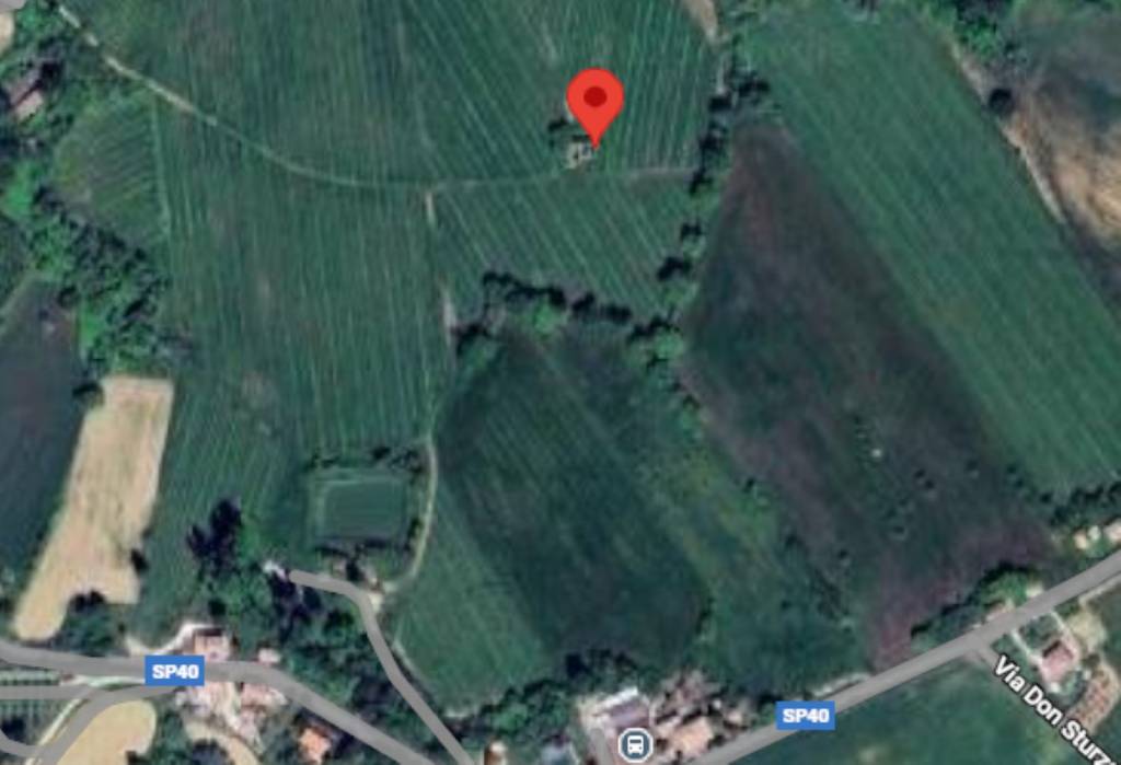 immagine annuncio 6 di 12