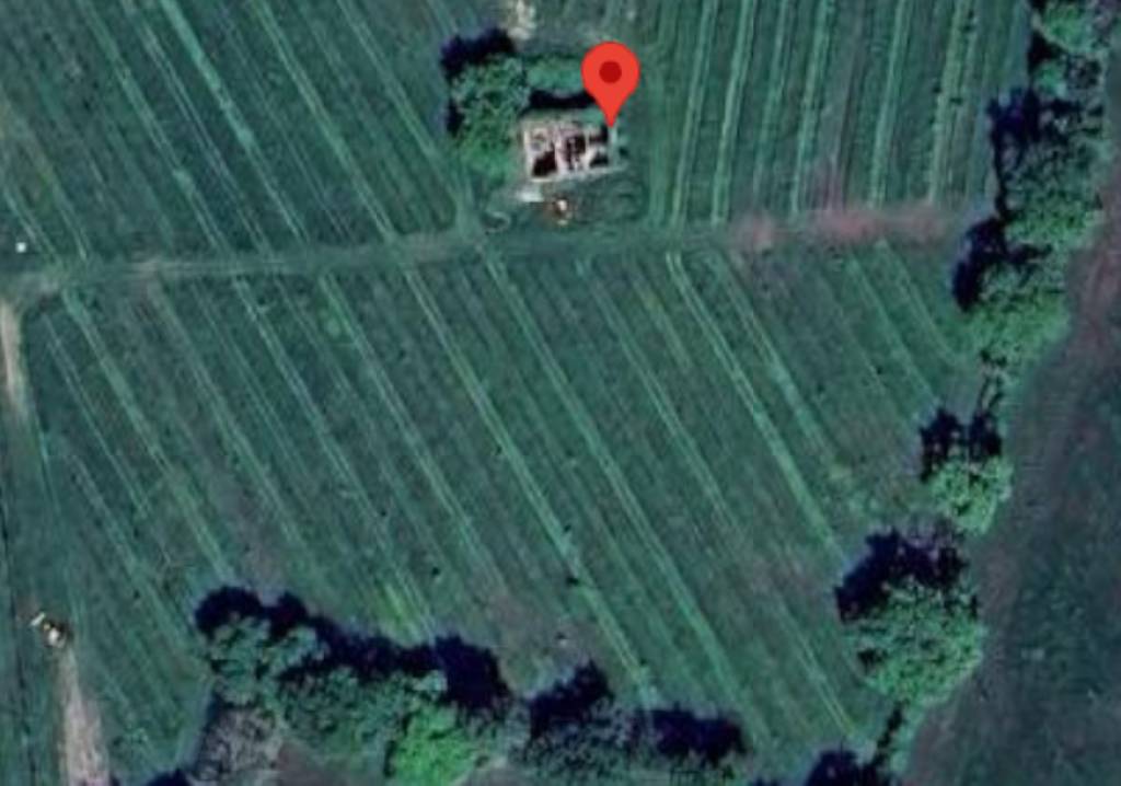 immagine annuncio 8 di 12