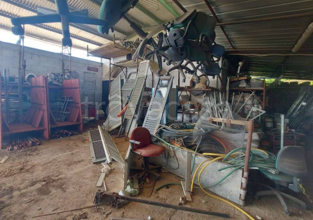 immagine annuncio 3 di 11